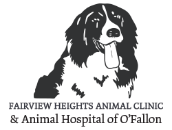 Fairview Heights Animal Clinic & the Animal Hospital of O’Fallon